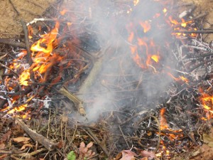 blog-burn process